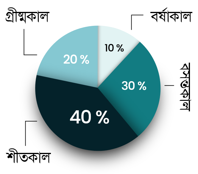 Pie Chitro Question 9 image 1